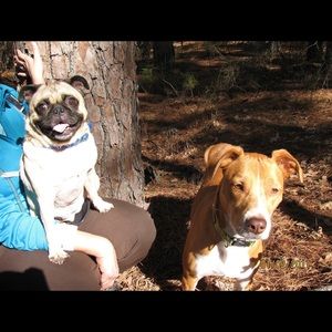 Meet your Posher, Angie